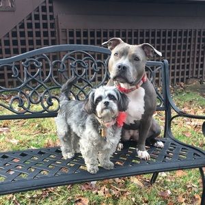 Meet your Posher, Rosa